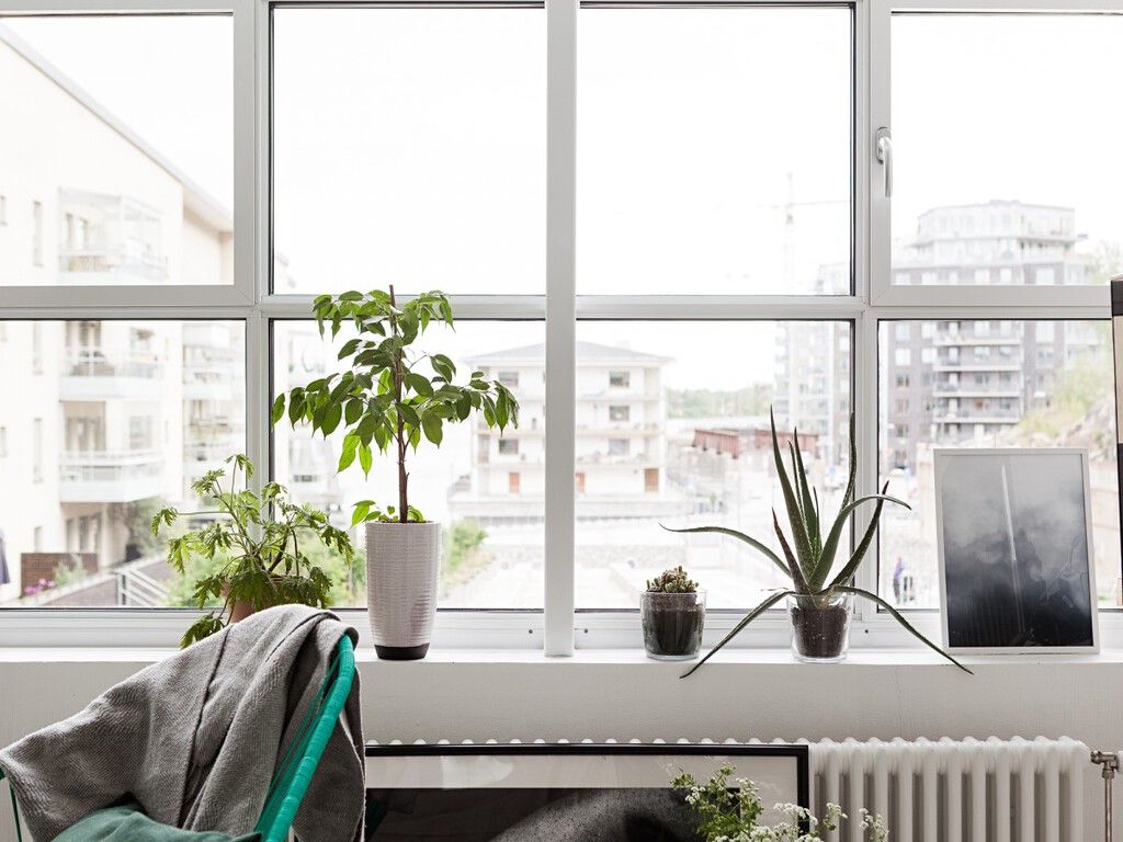 Imagen 3 de Quiénes Somos